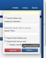 Click the blue "More..." button to access the advanced search options